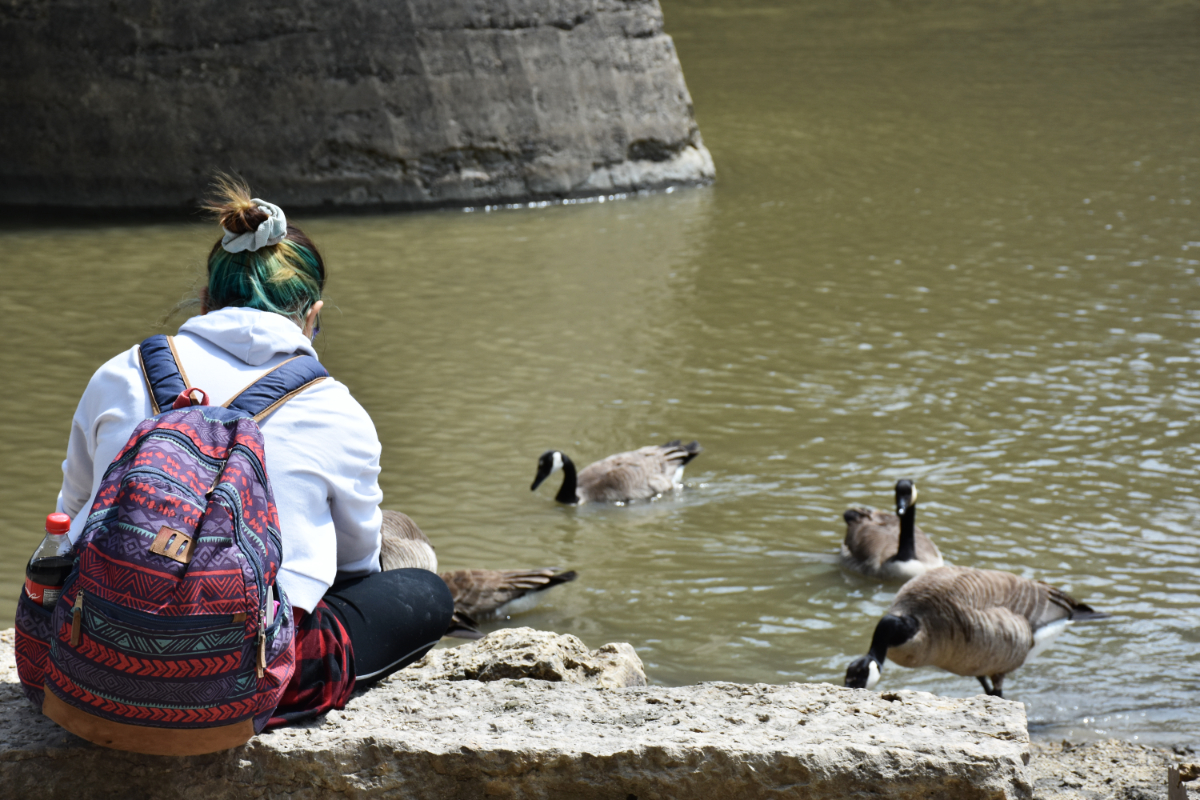 the back of a person with yellow and green hair tied back into a bun with a white scrunchie, wearing a white hoodie with a backpack with purple and red geometric patterns, sitting on a river bank with several Canada geese hanging around